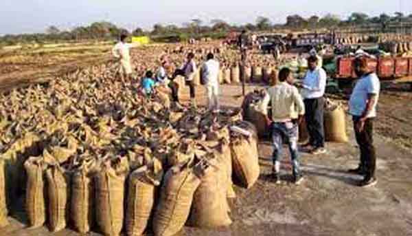 राजनांदगांव : जिले में उपार्जित धान कैप कव्हर से ढक कर सुरक्षित रखा गया है राजनांदगांव : जिले में उपार्जित धान कैप कव्हर से ढक कर सुरक्षित रखा गया है