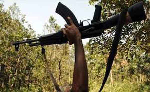 CG BREAKING: नक्सली घटनाओं में आई कमी, 1199 माओवादी आत्मसमर्पण कर सामाज के मुख्य धारा से जुड़े