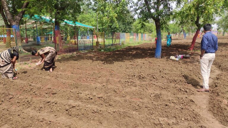 आयुक्त ने अधिकारियों को दिया टाॅस्क नेवई गोठान में महिलाएं कर रही हल्दी की खेती – स्वरोजगार करने वाली रिसाली की महिलाओं को दिया जाएगा प्रशिक्षण